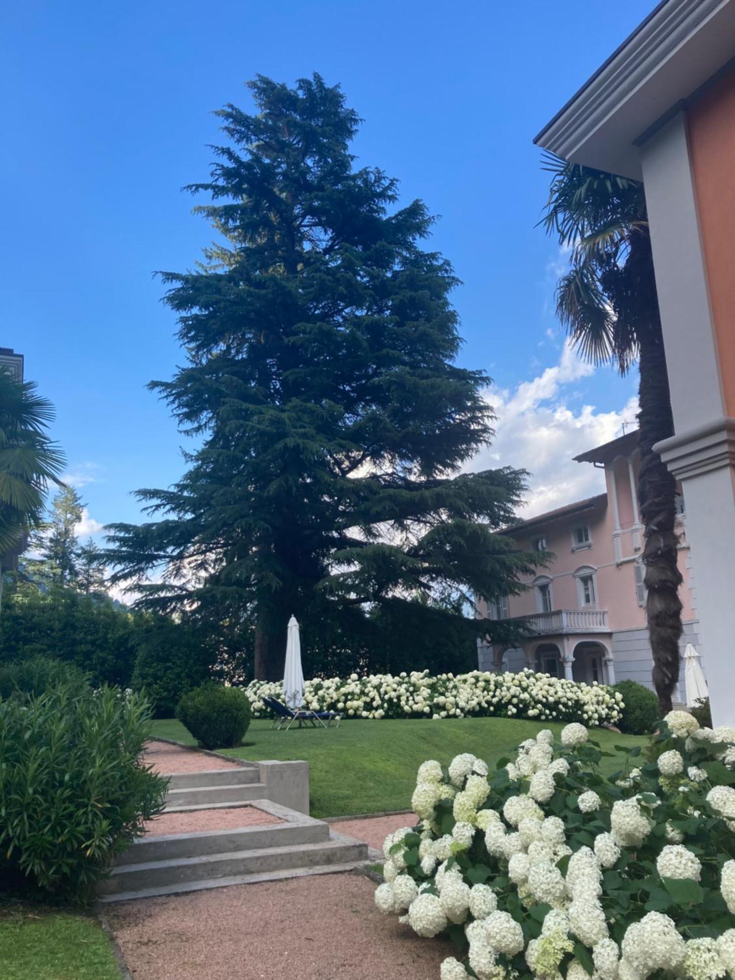 Ville Lago Lugano 포르토 세레시오 외부 사진
